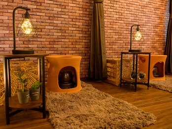 ミラージュ 青葉台(MIRA-JU)/友達同士でもOK