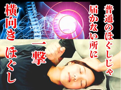 モミ(MOMI)の写真