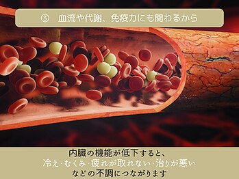 アネハ整体院/血流・代謝・免疫力に影響