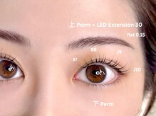 ハーシートウキョウ(HERSHE TOKYO)