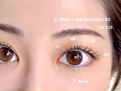 ハーシートウキョウ(HERSHE TOKYO)の写真