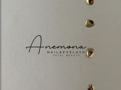 アネモナ(ANEMONA)の写真