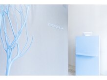 テセラ(TESELA)/店舗入口