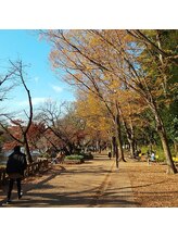 カラードルフィン 吉祥寺(COLOR DOLPHIN)/目の前は井の頭公園という好立地