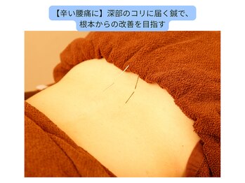 ここつ漢方薬店 二俣川院/辛い腰痛に