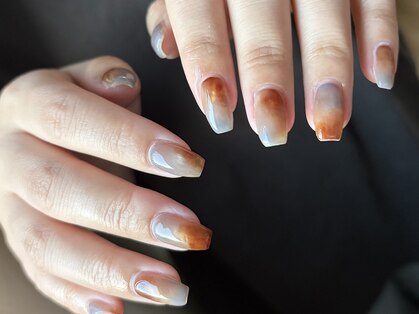 トイロ(toiro)の写真