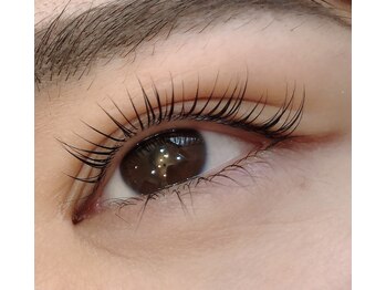 ヒッポ(Hippo)/まつ毛パーマ