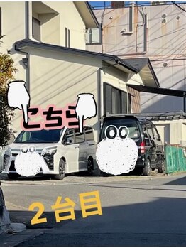 サーディン(sardine)/