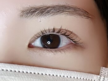 アトリエ ハーロウ(ATELIER HARLOW)/まつげパーマ/マツエク/眉毛