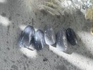PG010931433