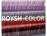 【ROYSH COLOR】大人ニュアンスカラーフラットラッシュ　全９色　120本