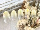 【パラジェル】オフィスデザイン