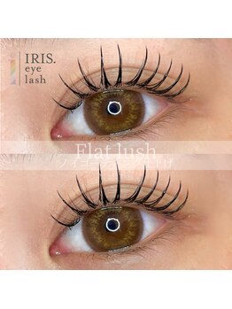 アイリス アイラッシュ(IRIS eyelash)/フラットラッシュ100本