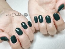 ケアダリア(kea’Dahlia)/ワンカラー【所沢/小手指】