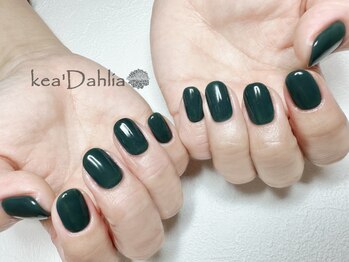 ケアダリア(kea’Dahlia)/ワンカラー【所沢/小手指】