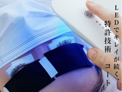 オッタントット(88 ottantotto)の写真