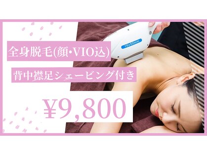 ウィローの写真