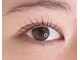 ヴェンティ アイラッシュ ラウンジ(VENTI eyelash lounge)の写真/ぱっちり状態をキープ！モチがよく満足度の高い施術ごポイント！ぜひご体感ください！