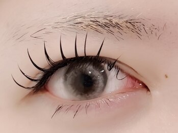 チュリップサカエ(Tulipe sakae)/まつげエクステ