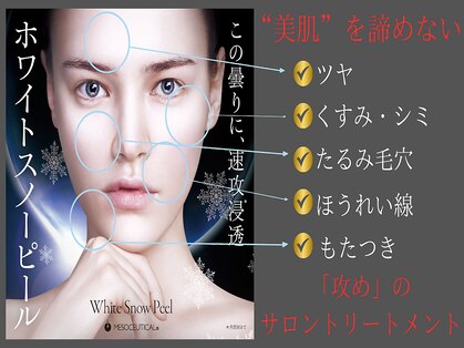 ホロホロ(holoholo)の写真