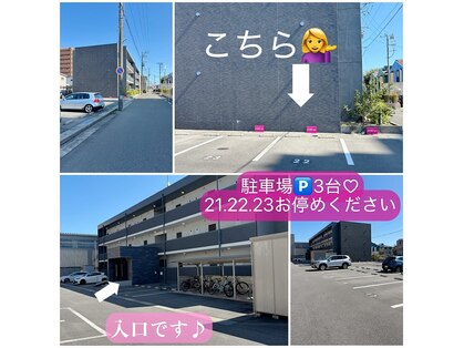 プリティアイ(pretty eye)の写真