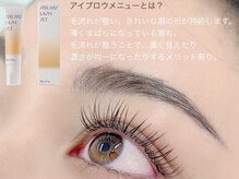 ビューティーサロン ココ 岡崎店(Beauty salon COCO)/眉毛/ラミネートWAX