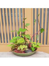 カラードルフィン 吉祥寺(COLOR DOLPHIN)/サロンに来る道の途中にも植物が