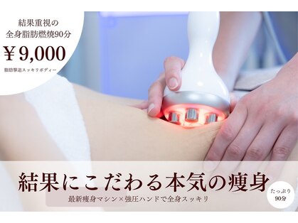 フィカス(FICUS)の写真