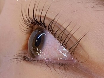 ダズル(DAZZLE)/パリジェンヌラッシュリフト