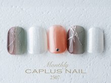 キャプラスネイル ベリエ/■monthly■ 2507