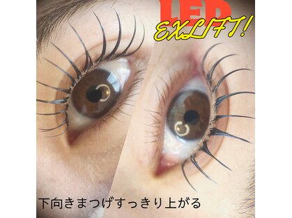 プラウド(Proud)の写真