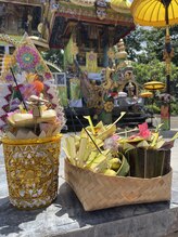 フランボヤン(flamboyant)/Pura Melanting2