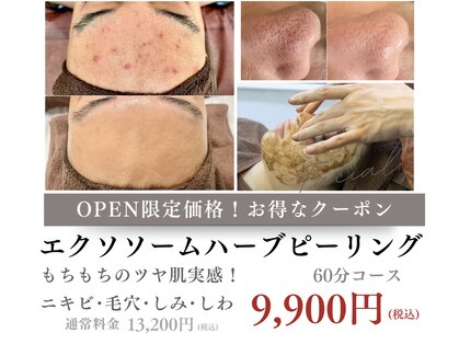 ネーム(Nemu)の写真