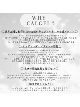 ネイルクルーノーヴル(nail Clou Noble)/カルジェルとは？