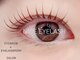 ナイスアイラッシュ なんば店(NICE EYELASH)の写真/当日ご予約歓迎！隙間時間にマツパ♪ご来店時のアイメイク・マスカラNG！メイク直しOK☆【なんば】