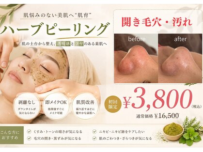 ブーケの写真