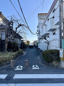 アール(R)/遊歩道を大通りの方へ