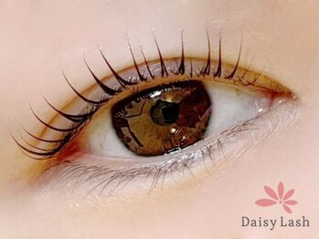 デイジーラッシュ 神戸三宮店(Daisy Lash)/まつげパーマ/パリジェンヌ/神戸