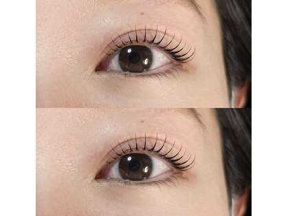 ニュイ(nuit.)の写真