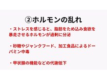 アルファ(alpha)/