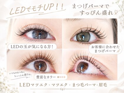 ベルエール(Belle Aile)の写真