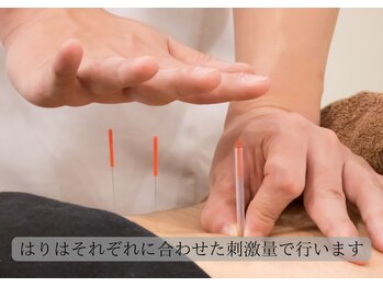 両国ソレイユ鍼灸整骨院/『6』鍼施術もお任せください