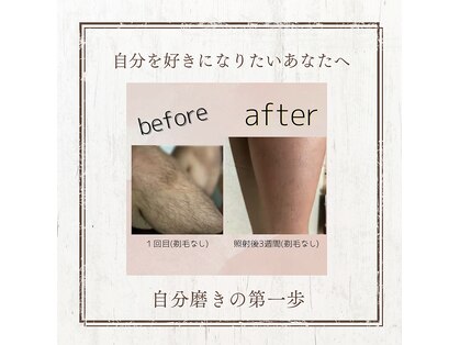 エレーヴ(Eleve)の写真