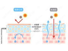 キャス(KYAS)/お肌の構造に沿った施術