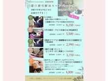 ココロ(cocoro)の雰囲気（【7月8月の特別企画】冷房による自律神経の乱れの不調ケア♪）