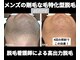 グロワール(gloire)の写真