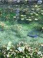 リボン アイラッシュアンドビューティーサロン(RIBBON) 岐阜県にあるモネの池。キレイでした☆