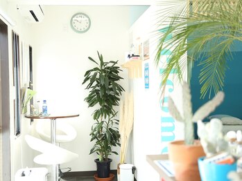 メイスボニータ(maisbonita)/店内風景