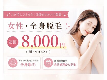 サクラ(SAKURA)の写真