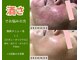 ピオニー(peony)の写真